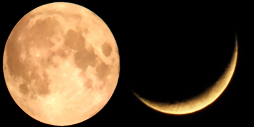 d7b564a0-842e-4f8b-8d6d-5746b38c3380