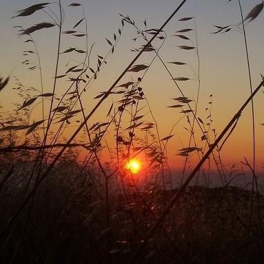 Russian Ridge 810 022x