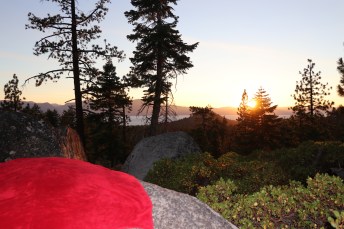 10761735360_IMG_3445