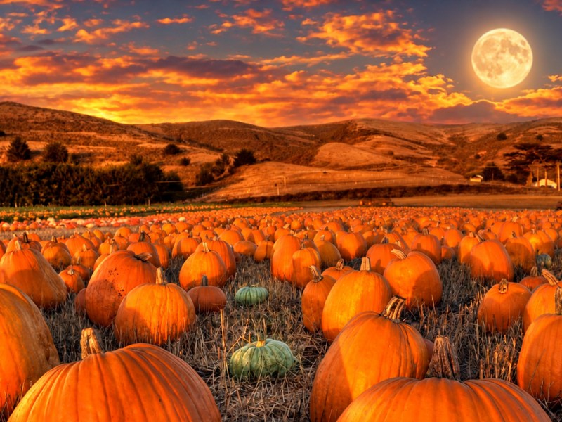 October Full Moon&nbsp;Ceremony